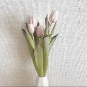 f_peachの画像