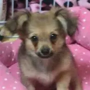 やいやい(プロフ必読お願いします)