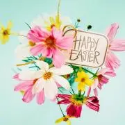 HAPPY HAPPYの画像