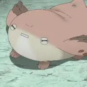 ラン