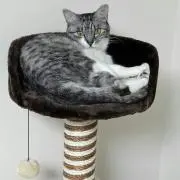 山ちゃん