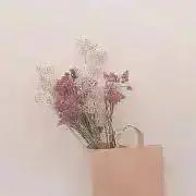 豆の画像