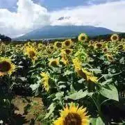 Kei☆の画像
