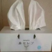 うさの画像