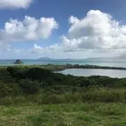 ウィルシャーママ