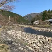 こたたの画像