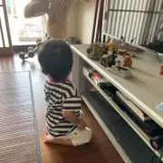 ぎんの画像