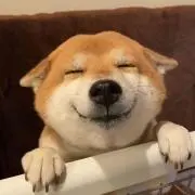 ふみのすけ