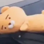 なつの画像