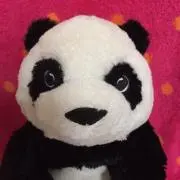 SAKURAの画像