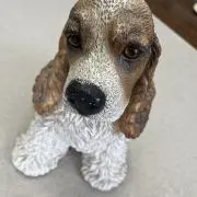 モッチの画像