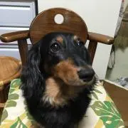 セイトモ