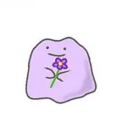 Image of ハチワレ