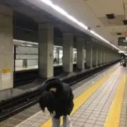 にゃんの画像