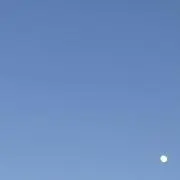 bienの画像