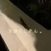 プロフをご確認ください‼︎なめくじさん。の画像