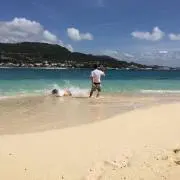 しん