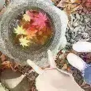 yamapの画像