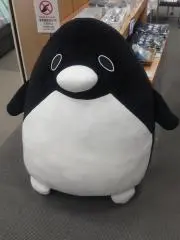 Haruの画像