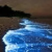 夜/ノーマルストレージ整理中の画像
