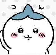 ハチワレ（〜20%OFF中♪）の画像