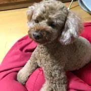 えある