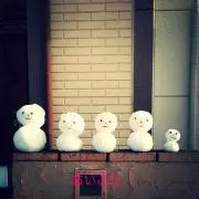 あいぷ◎の画像