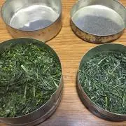 静岡茶