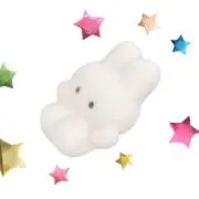 rnの画像