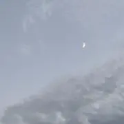 ひなたの画像