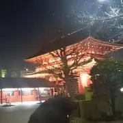masamasa　自己紹介読んでください