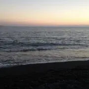 もぐの画像