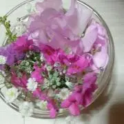 はな.。o○
