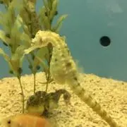 ⌘やんこ⌘の画像
