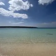 yの画像