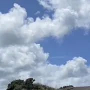 ありすの画像