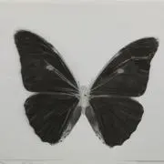 addsaltの画像