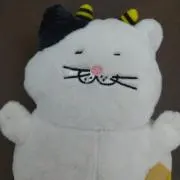 とらちゃんの画像