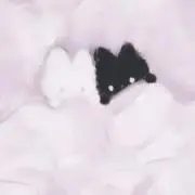 はちの画像