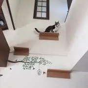 とと(@_@。プロフ