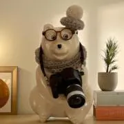 ポーラベアの貯金箱さんの画像