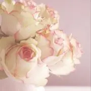 ryo＊プロフお読みください＊の画像