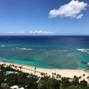 manapuaの画像