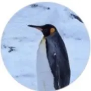 satomiの画像