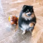 てみ 断捨離中の画像