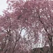 vmの画像