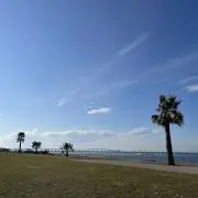 y090の画像