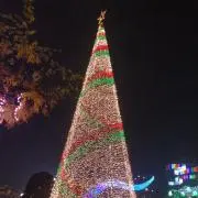 かの画像