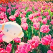 yo5cの画像