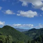 天天の画像